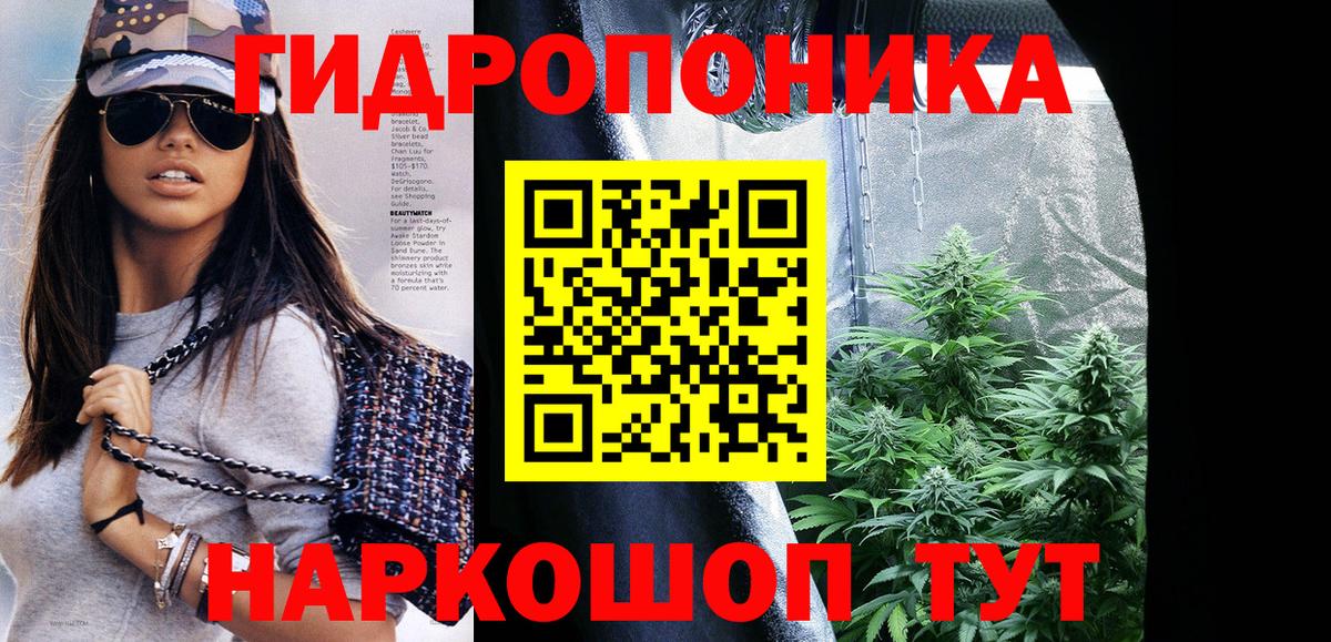 Баксан  Канабис планчик  Каннабис Amnesia  Бошки Шишки White Widow  Вход с VPN 